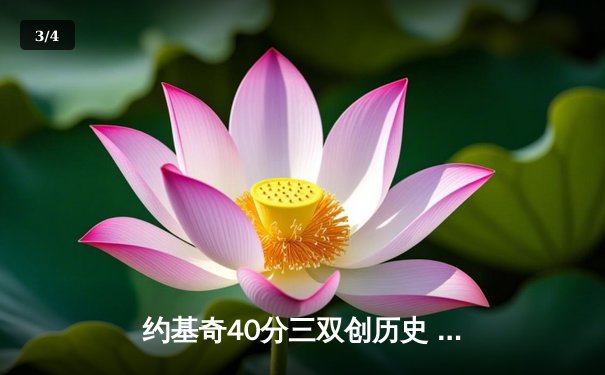 约基奇40分三双创历史 掘金加时险胜勇士延续卫冕之路 - 3